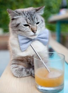 “足球艺术”的巅峰——那些令人心醉的助攻配合，足球助攻的定义