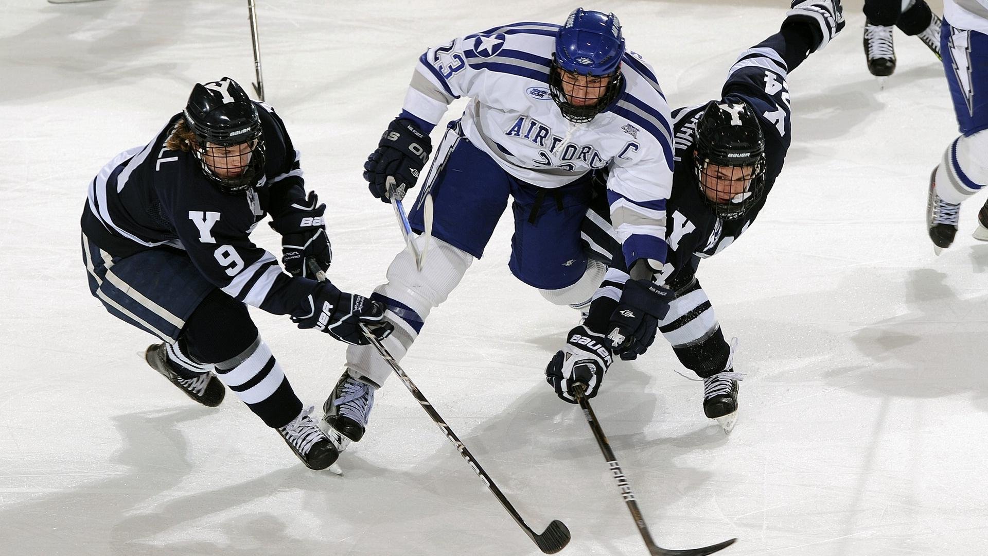 高校篮球推动裁判学生培养项目壮大执法队伍，大学篮球裁判协会是干什么的