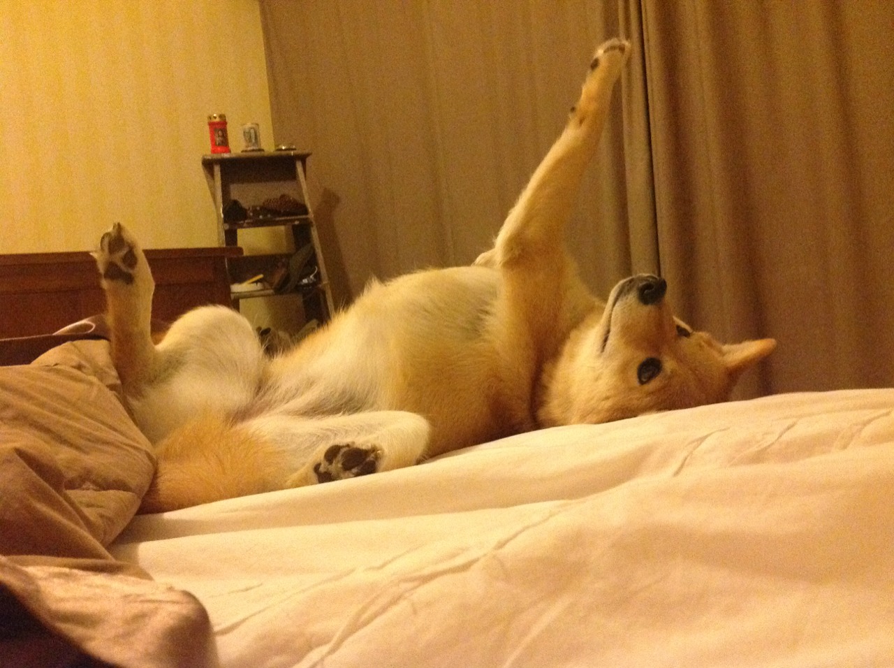 “法甲劲旅豪情满满,冲击欧洲冠军”,法甲联赛冠军列表