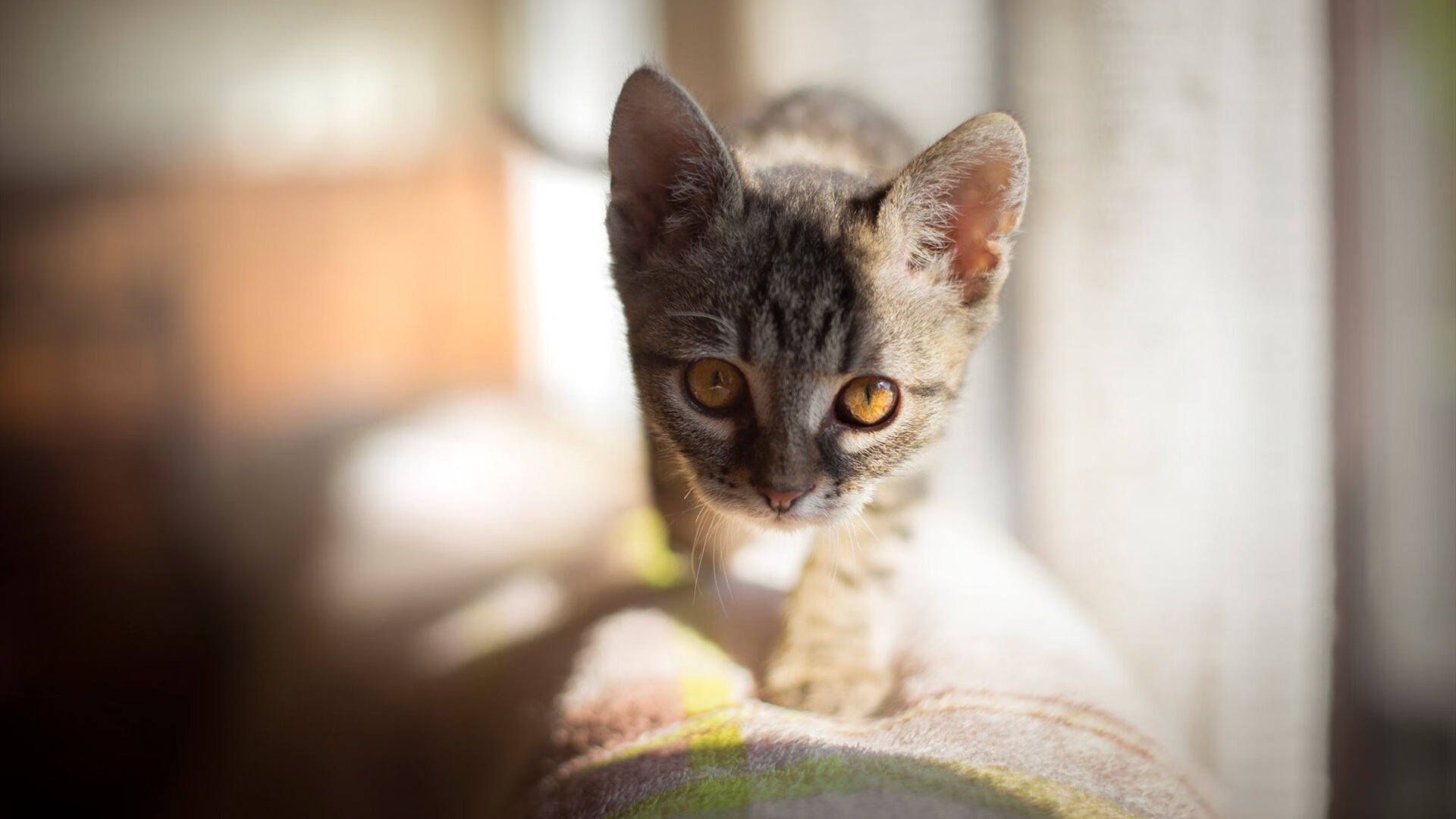 九游9游-《《堡垒之夜》推出新“未来城市”季节，视觉震撼》，“堡垒之夜”